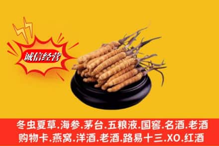 甘南舟曲县名酒回收冬虫夏草.jpg